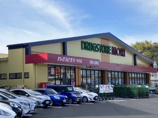 豊田産業株式会社<br />ドラッグストア